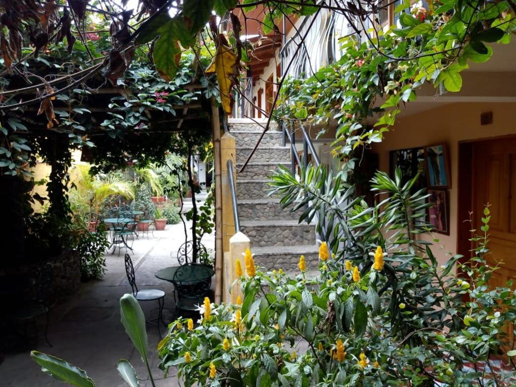 Hostal Mario'S Rooms 帕纳哈切尔 外观 照片
