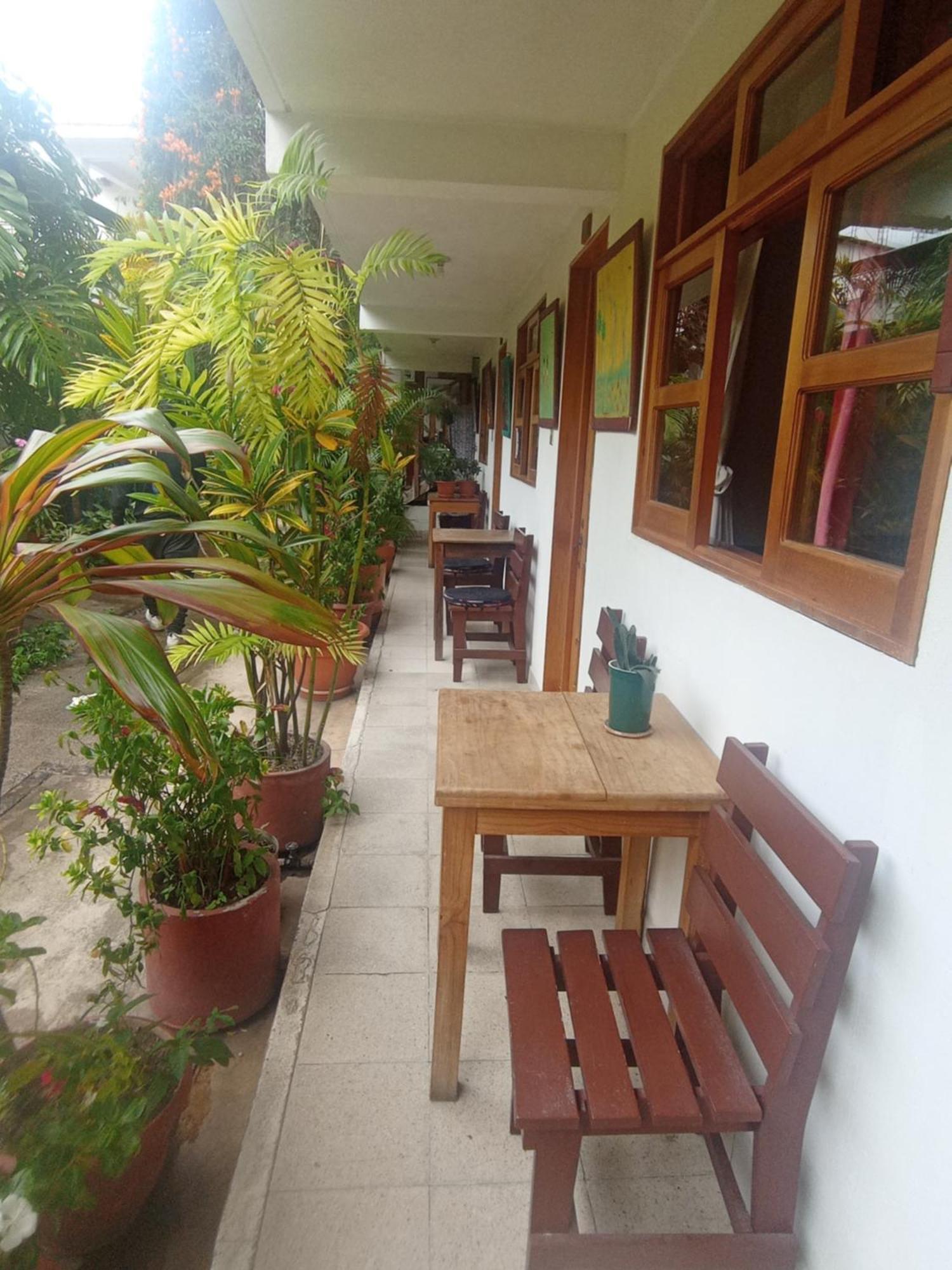 Hostal Mario'S Rooms 帕纳哈切尔 外观 照片